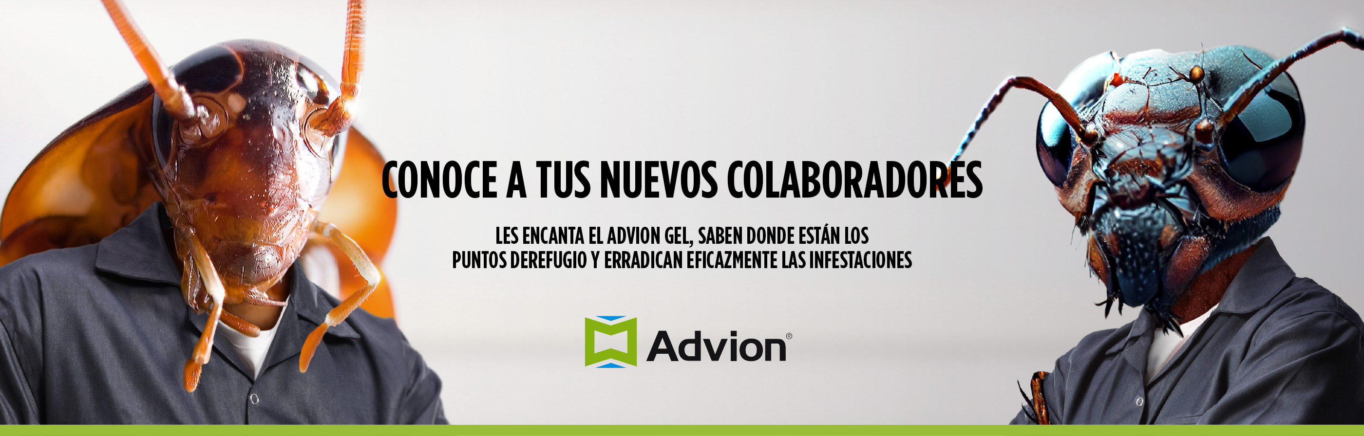 Advion Hero Banner 