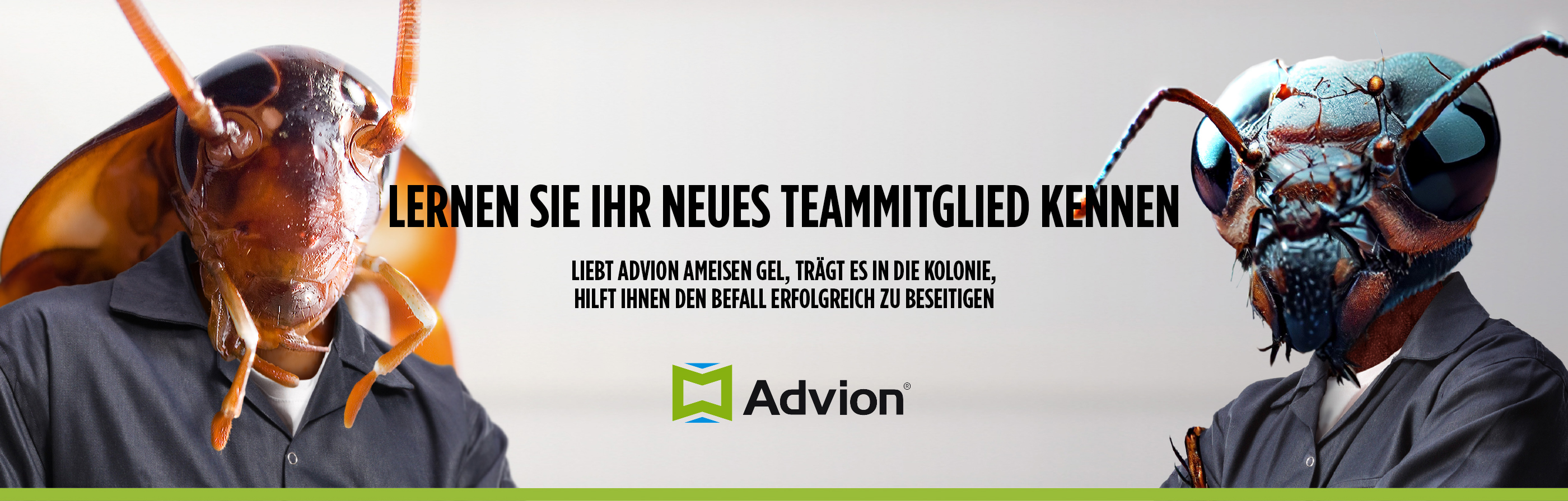 Advion Hero Banner 