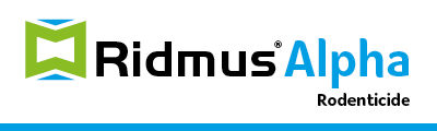 Ridmus Alpha banner logo