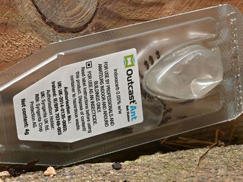 Outcast Ant bait station