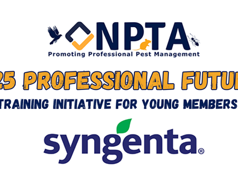 Professional Futures logo vs 2