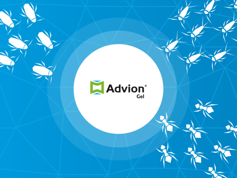 Advion-gels - Palatabilitet