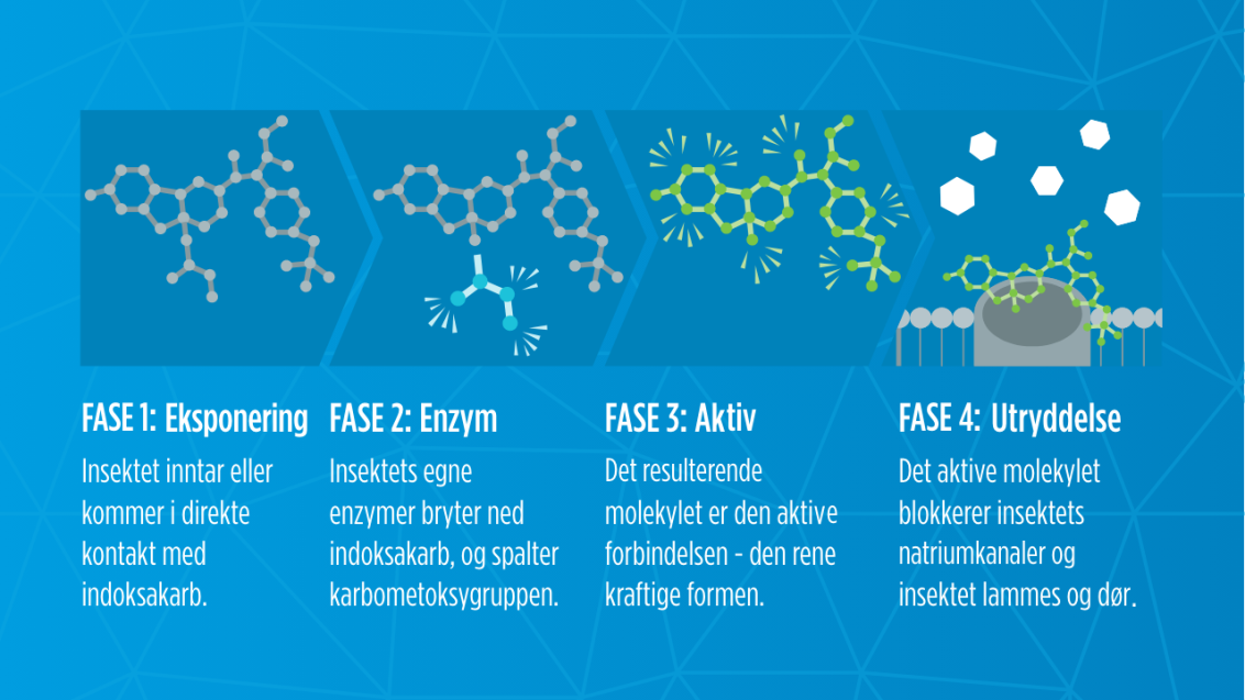 Advion bioaktiveringsprosess