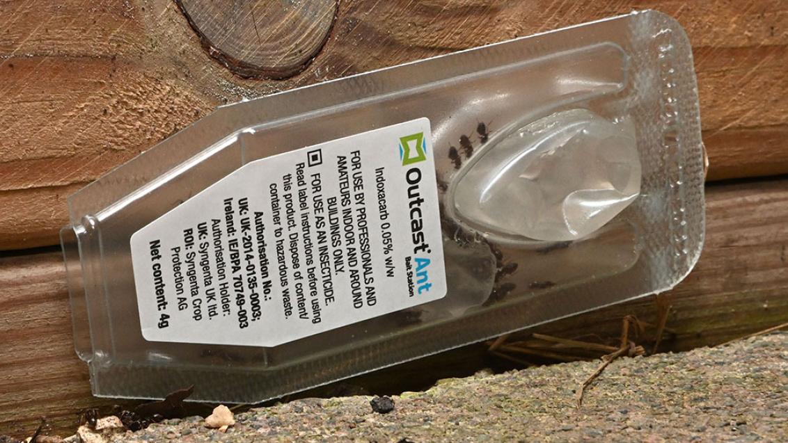 Outcast Ant bait station
