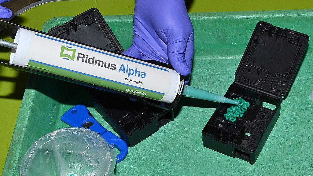 Ridmus Alpha 8g in bait box