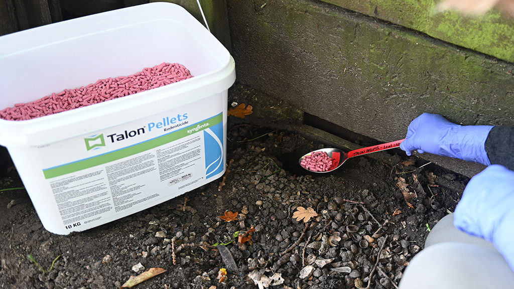 Talon Pellet burrow baiting with 20g dose to be placed as far into the hole as possible