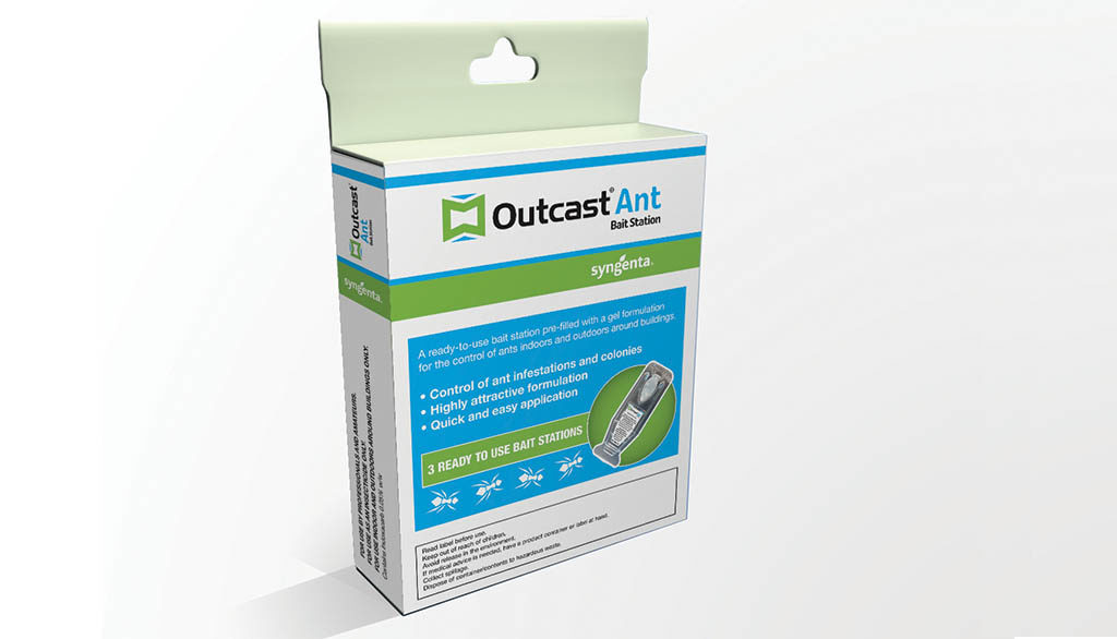 Outcast Ant