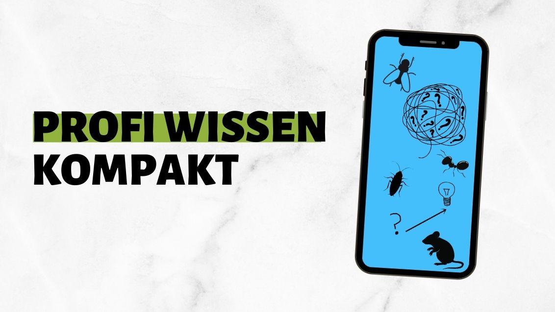 profi_wissen_kompakt_web