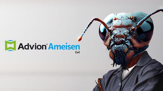 Advion ant