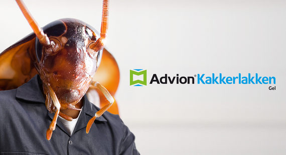 Advion cockroach