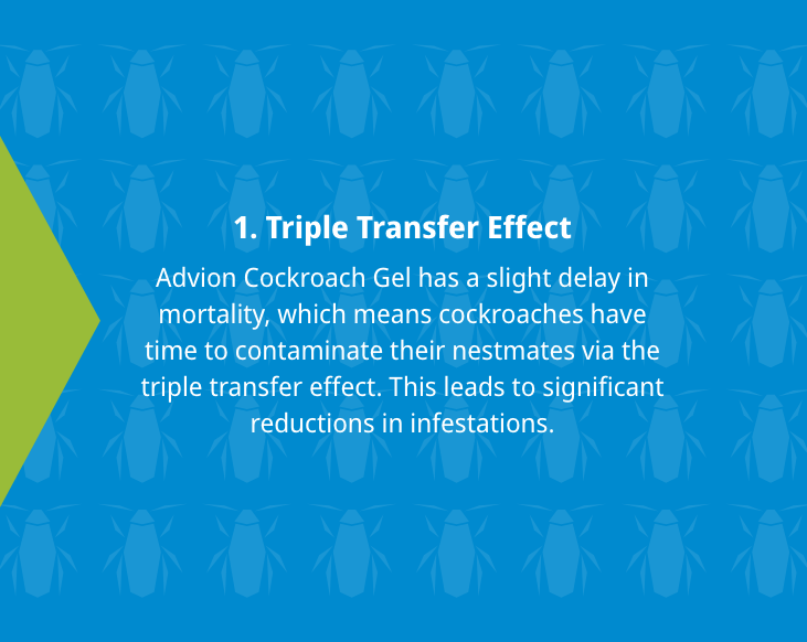 Triple Transfer Effect