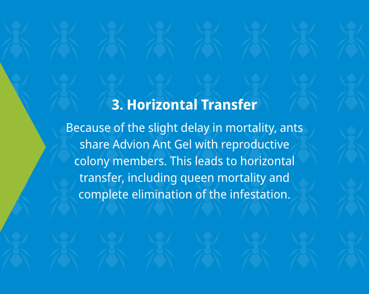 Horizontal Transfer 