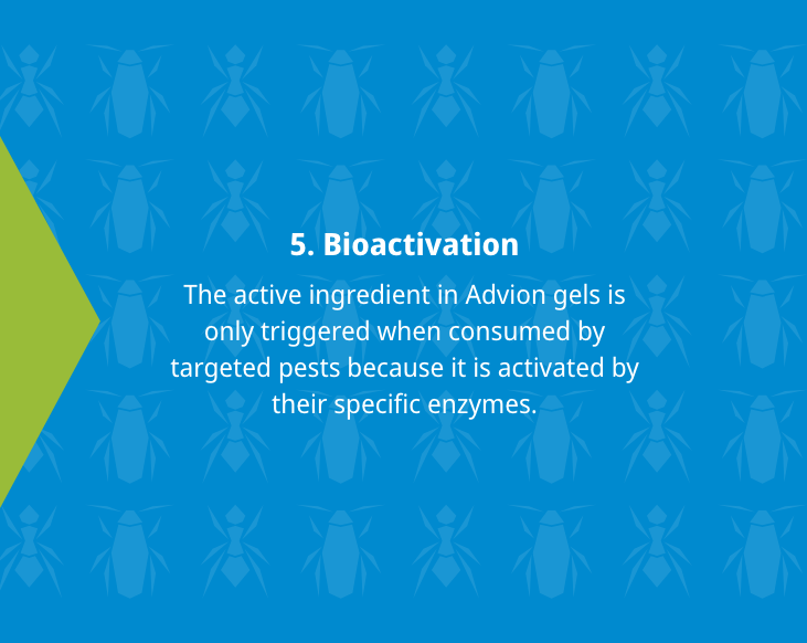 Bioactivation 