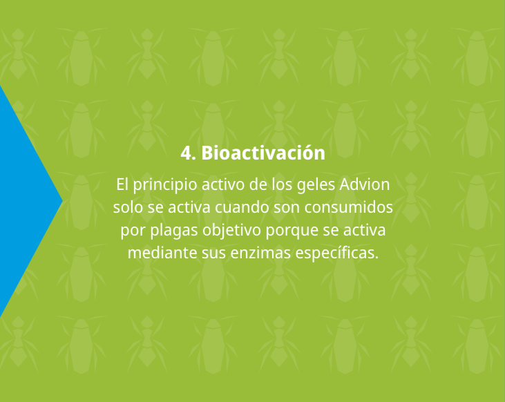 advion-screen-04