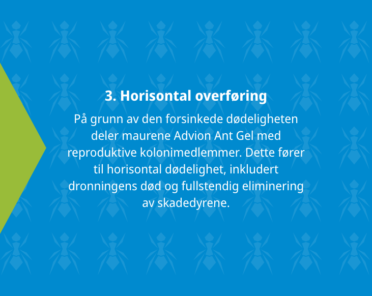 advion-screen-03.png