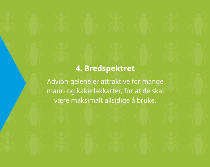 advion-screen-04.png