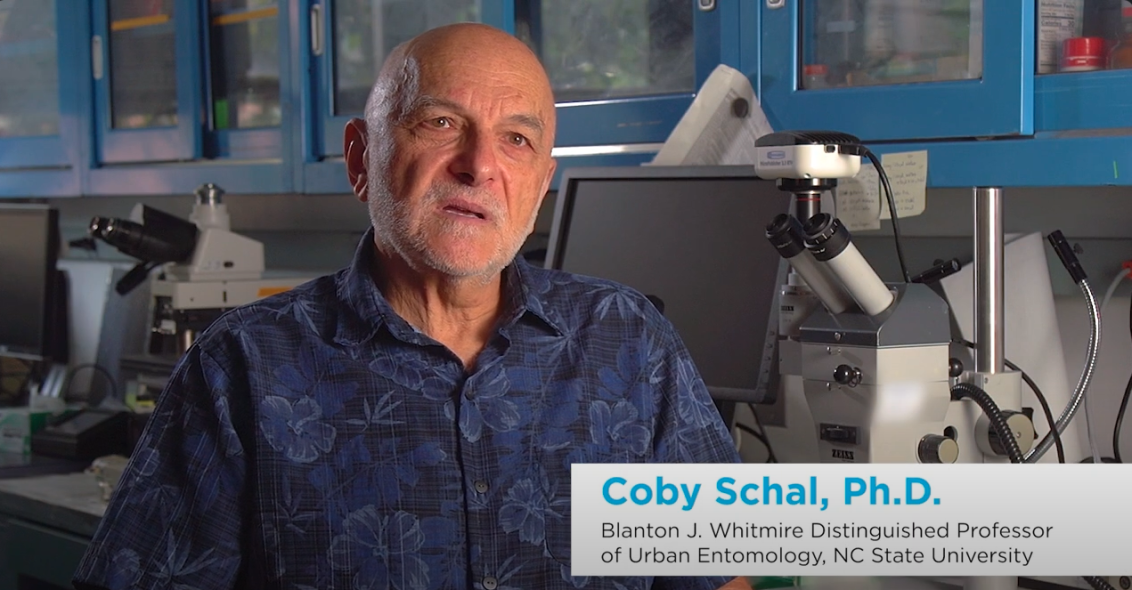PLINAZOLIN Technology Cockroach Trial with Dr. Coby Schal