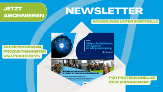 newsletter banner