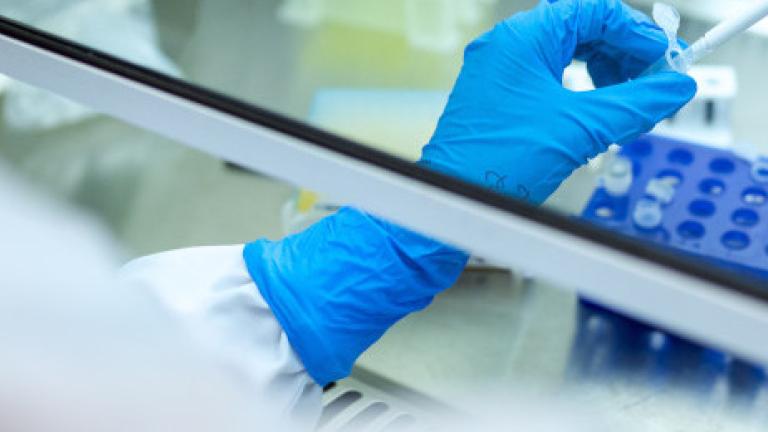 Samples in test tubes