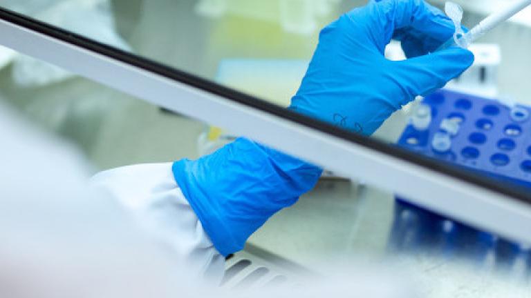 Placing samples in test tube