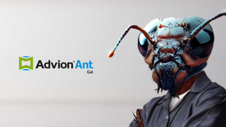 Ant
