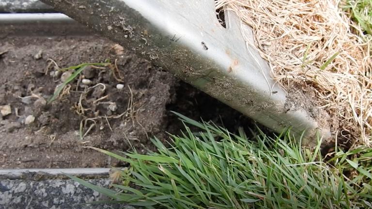 CASE STUDY: BASILEA, SUIZE – AGOSTO DE 2018Se ha descubierto un ejército de hormigas en el exterior de un hotel y los intentos <br>Lee Maschevron_right