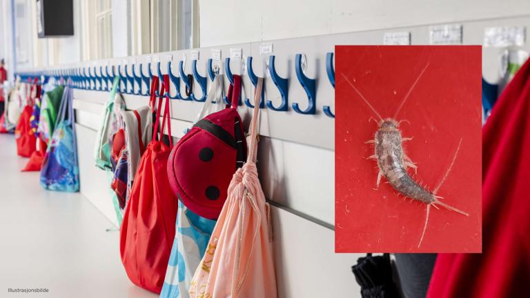 Skjeggkre-studie i barnehagemiljø