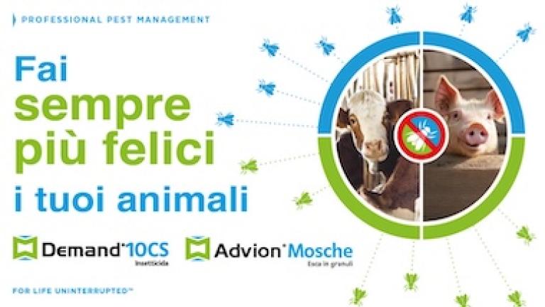 Advion® Mosche Esca in Granuli e Demand