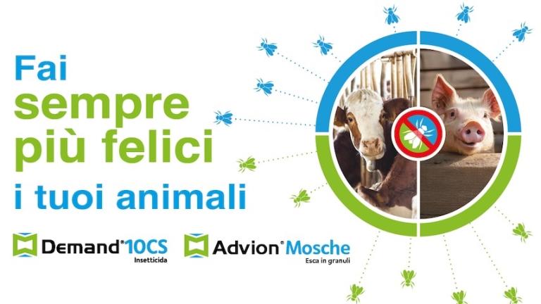Advion mosche Banner