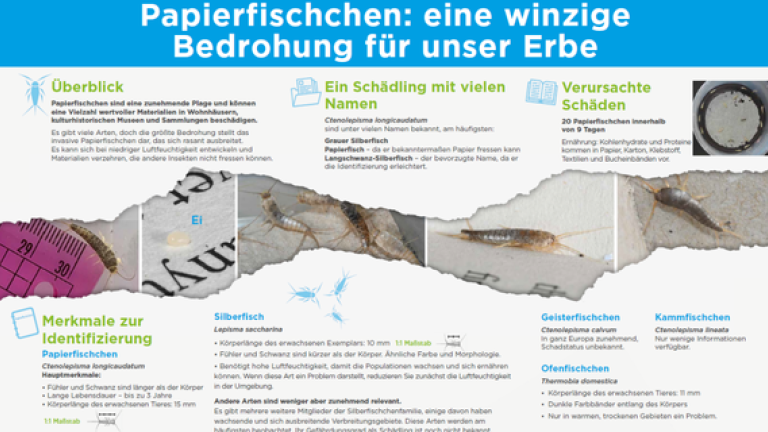 poster_silverfish