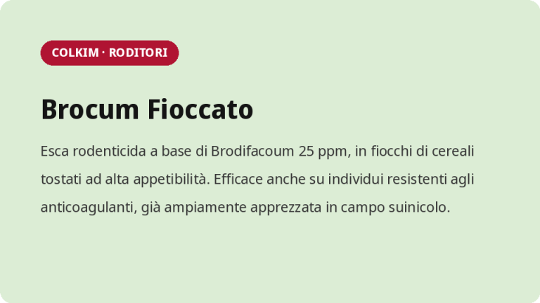 Grafica con titolo “Brocum Fioccato” e descrizione prodotto su sfondo verde chiaro.