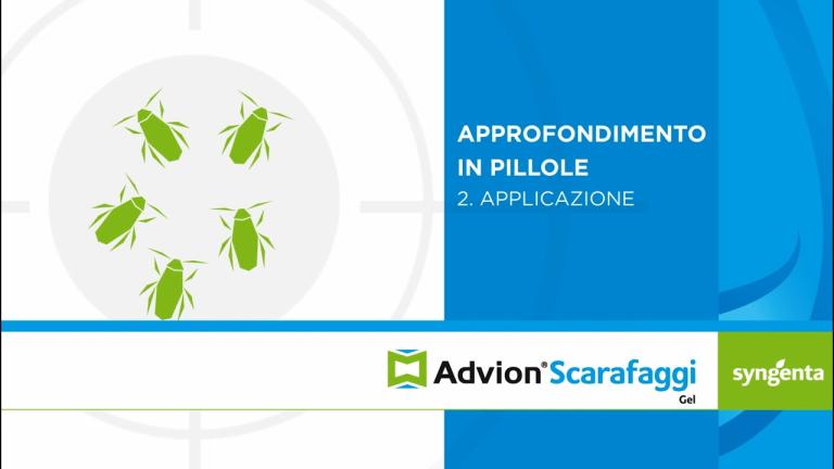 Modulo di formazione: Applicazione - Advion Gel Scarafaggi- Syngenta