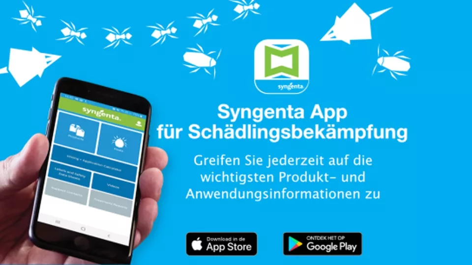 Hand hält Smartphone mit Syngenta-App-Werbung auf blauem Hintergrund, mit Google-Play-Button