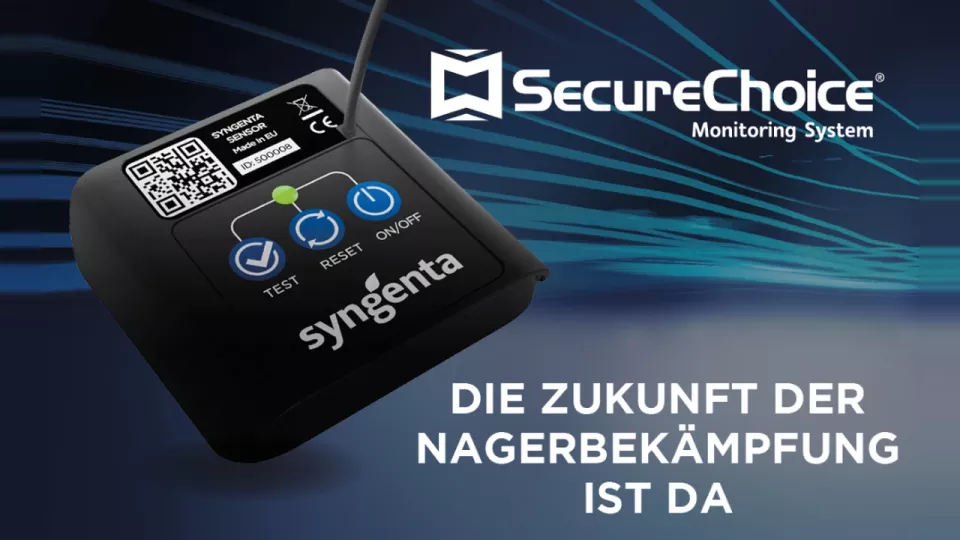 SecureChoice Banner