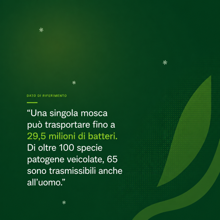 Grafico verde con testo in italiano su trasmissione del virus tramite zanzare