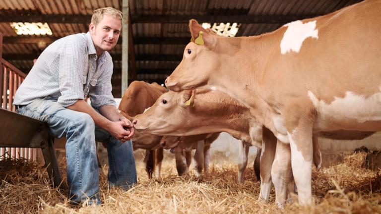 IPM on farms for contented livestock