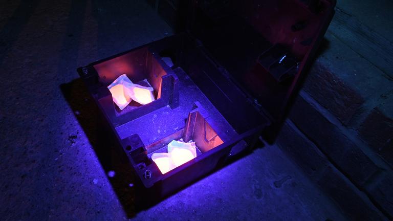 Pasta sachet with UV infusion enables monitoring of treated rodents