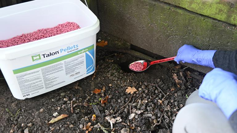 Burrow baiting with Talon Pellets
