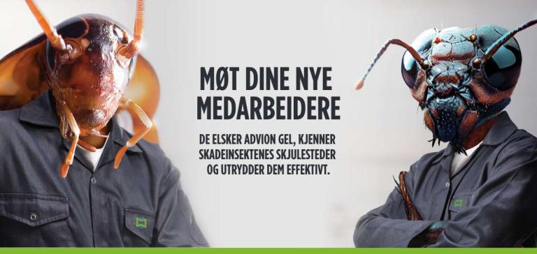 Advion Landingsside