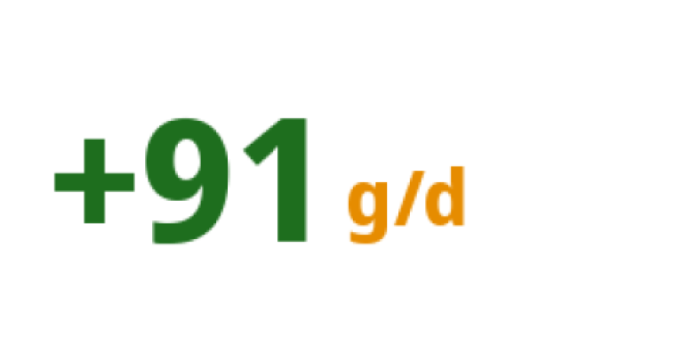 Green “+91” and orange “g/d” text on white background