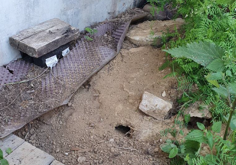 Sand in yard