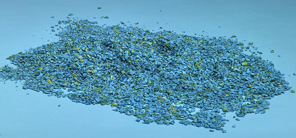 Grain maize bait suits rural situations to mimic rodent diets