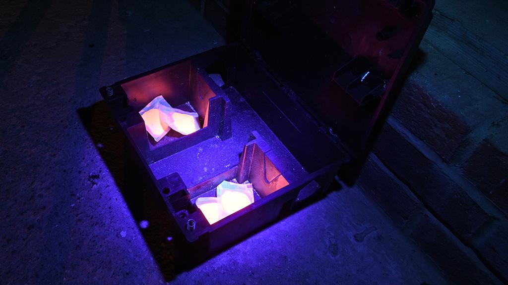 Pasta sachet with UV infusion enables monitoring of treated rodents
