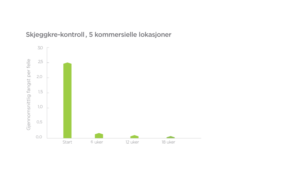 Skjeggkre-kontroll 
