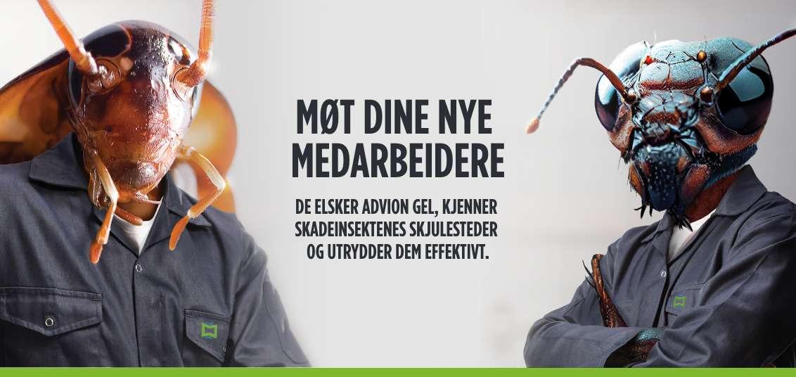 Advion Landingsside