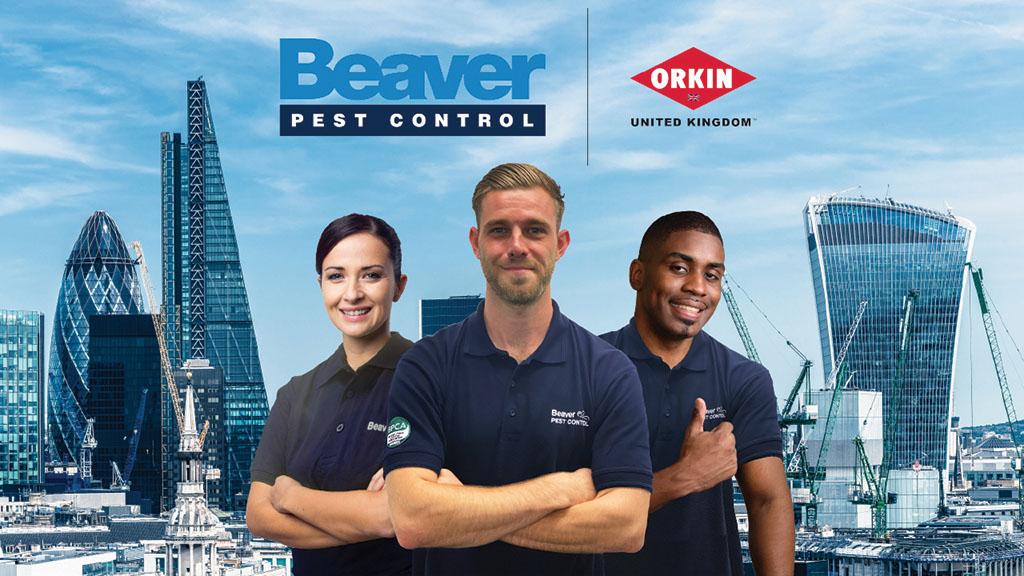 Beaver pest control