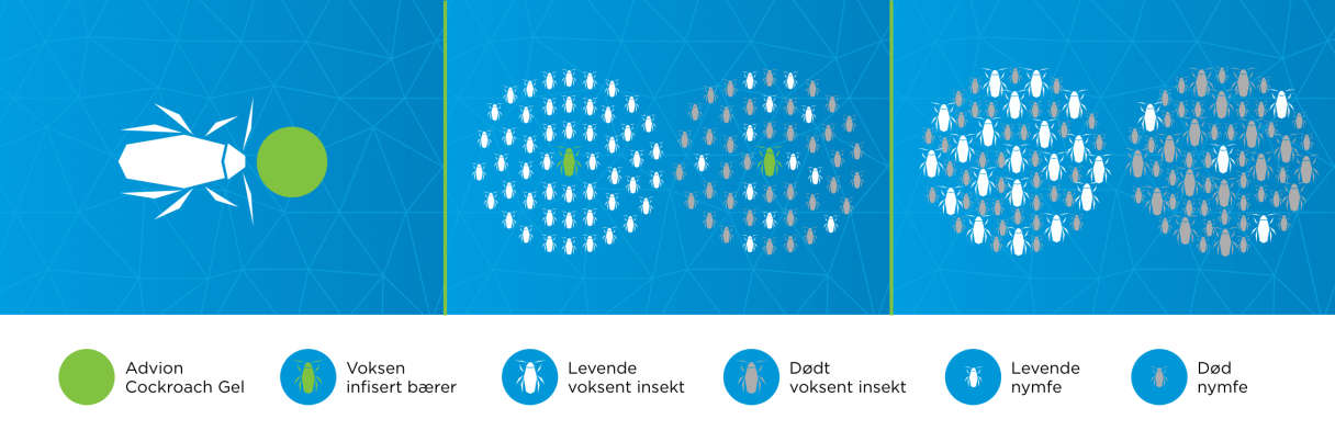 Advion-gel – Overføring