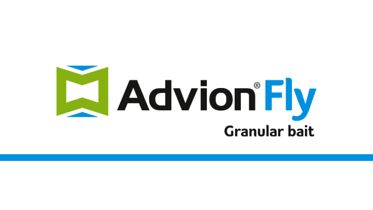 Advion Fly Granular Bait